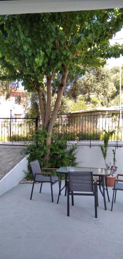 Hotel Oasis Parga Exterior foto